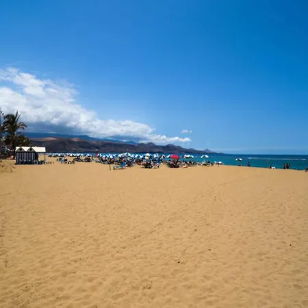 In Palmas De Gran Canaria Las Palmas de Gran Canaria