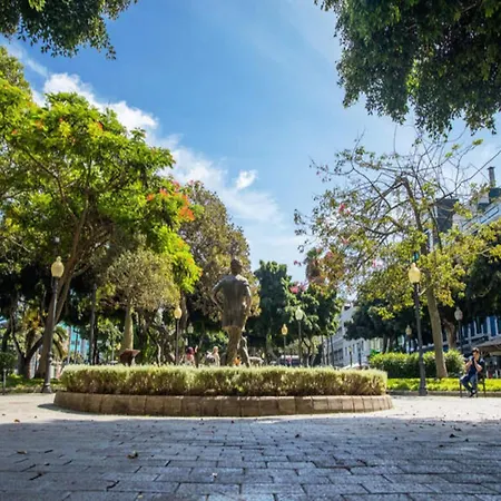 In Palmas De Gran Canaria